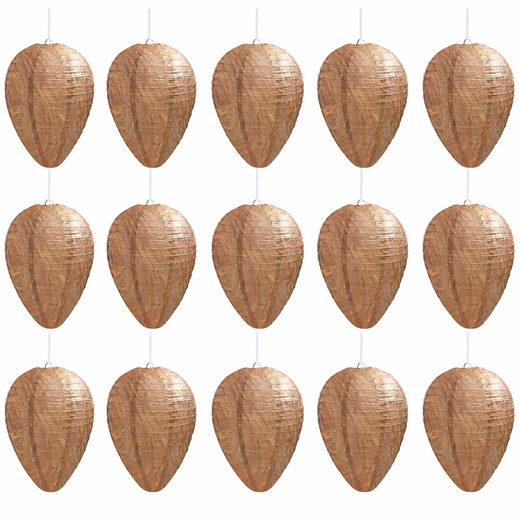 🔥Hot Sale 49% OFF🐝Natural Wasp Deterrent Hive