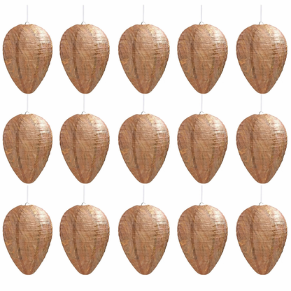 🔥Hot Sale 49% OFF🐝Natural Wasp Deterrent Hive