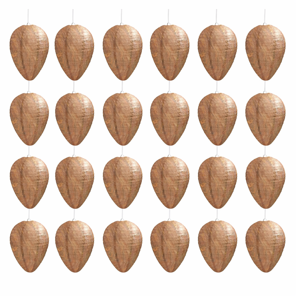 🔥Hot Sale 49% OFF🐝Natural Wasp Deterrent Hive
