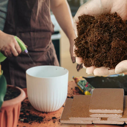 🔥LAST DAY 49% OFF🌱Premium Organic Coconut Coir Bricks for Plants🌱