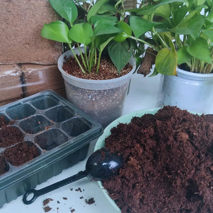 🔥LAST DAY 49% OFF🌱Premium Organic Coconut Coir Bricks for Plants🌱
