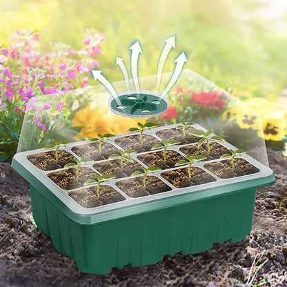 ⏰Limited offer 62% Discount🔥Seed Starter Trays with Grow Light