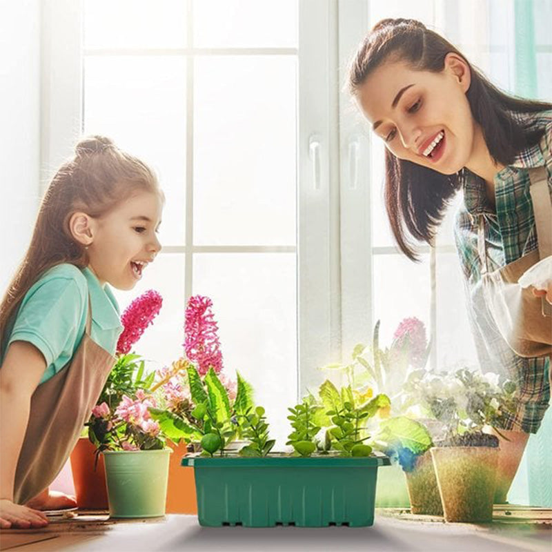 ⏰Limited offer 62% Discount🔥Seed Starter Trays with Grow Light
