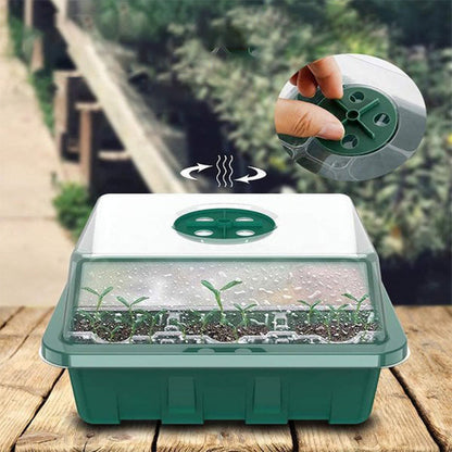 ⏰Limited offer 62% Discount🔥Seed Starter Trays with Grow Light