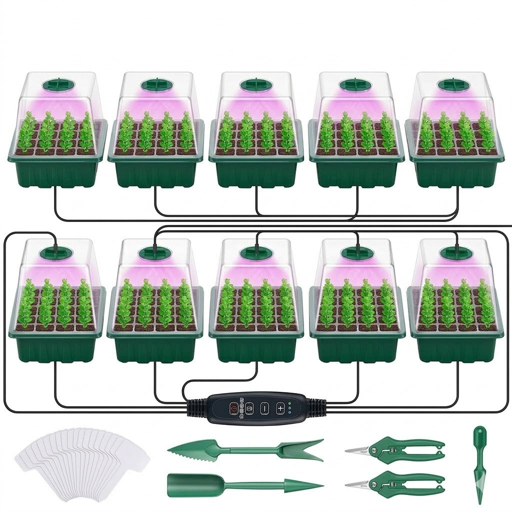 🎁Best Value - Buy 10 PCS
