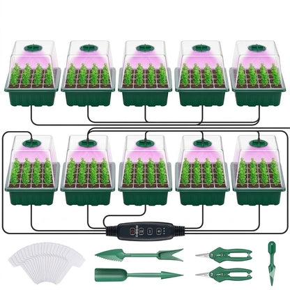 ⏰Limited offer 62% Discount🔥Seed Starter Trays with Grow Light